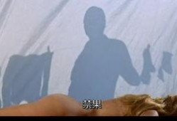 现代豪放女在线观看,激情燃烧的青春岁月
