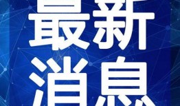 熊猫小贝爆料视频大全最新,精彩瞬间尽收眼底
