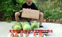娱乐搞笑吃瓜视频,让你笑到肚子疼